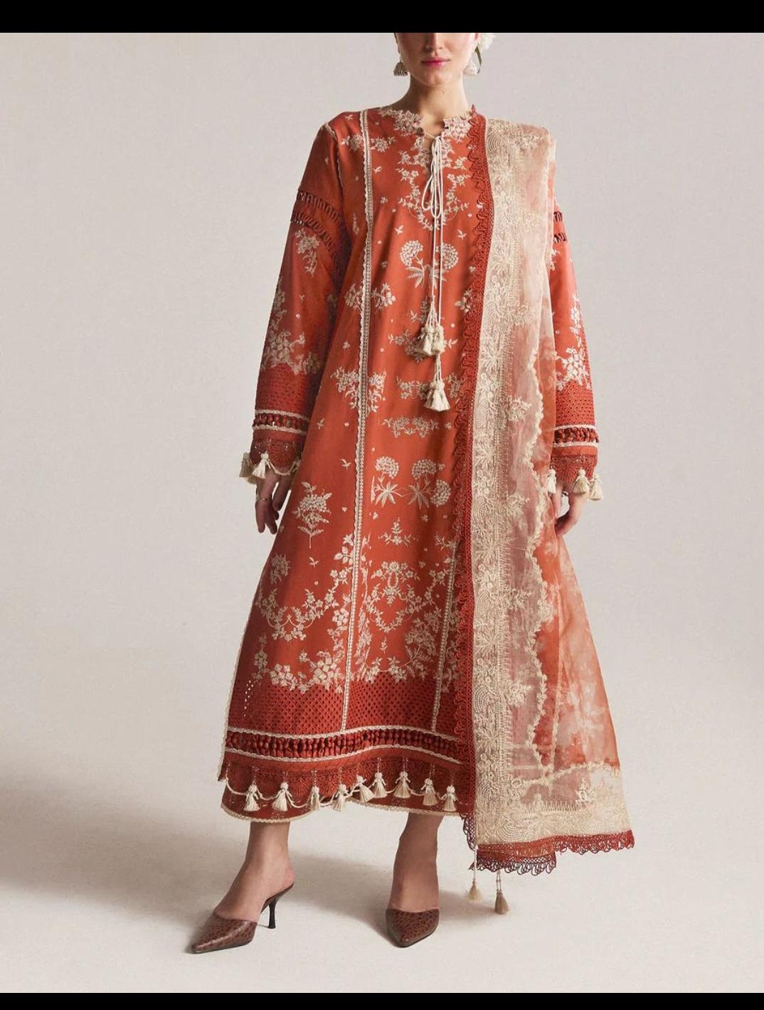 Amna's Clothing 005 - Premium Lawn Suit with Digital Print Organza Dupatta