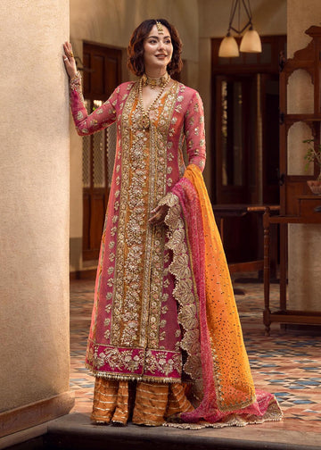 Party Wear | Organza | Chiffon |  Crimson
